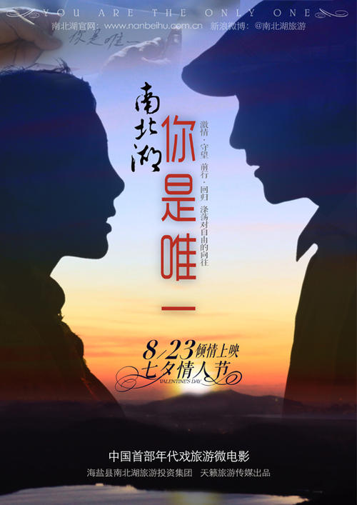 仿制印度护照